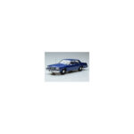 Chevrolet Chevrolet Caprice Sedan FBI Polisbil MCG 1:18 1:18 Metall
